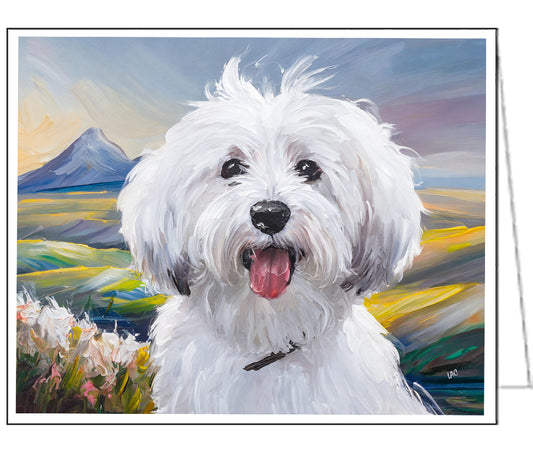 Coton de Tulear 5 x 7 Notecards - Set of Six  - - 5 x 7 Inches