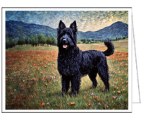 Croatian Sheepdog Fine Art Notecards - 5 x 7 inches, Set of Six