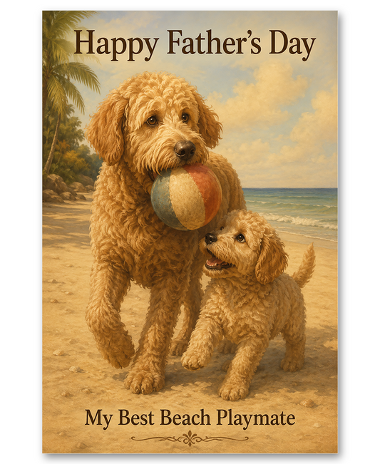 Labradoodle Playing Beach Ball on Father's Day
