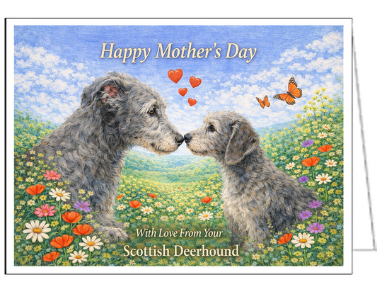 Scottish Deerhound Single Mother's Day Greeting Card