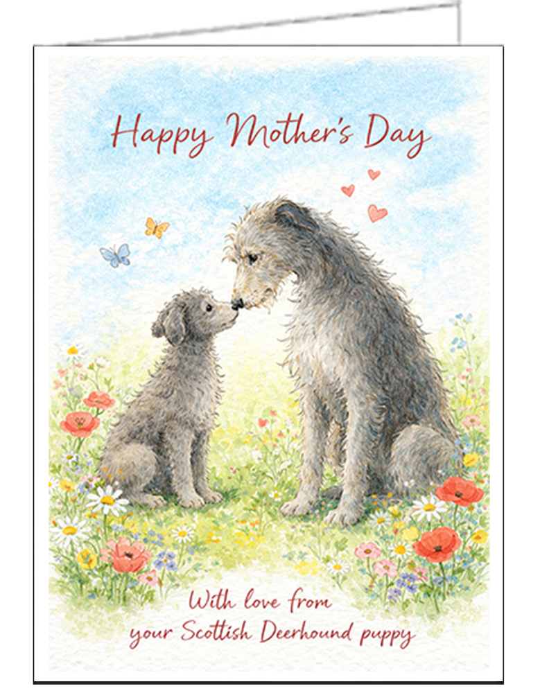 Scottish Deerhound Single Mother's Day Card - #2