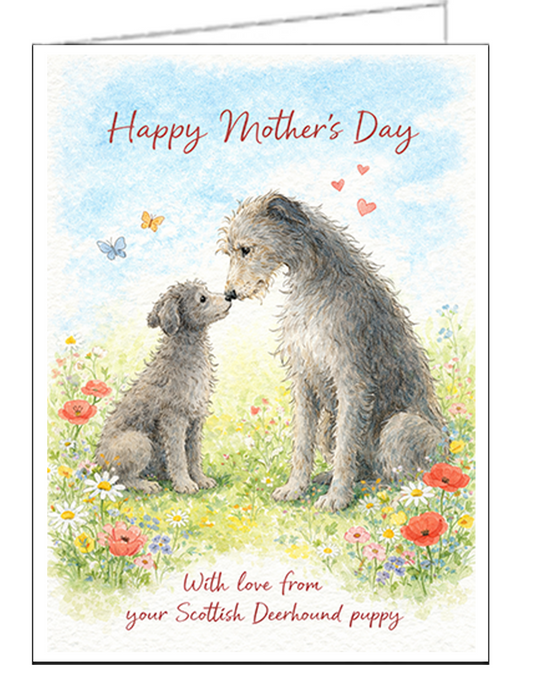 Scottish Deerhound Single Mother's Day Card - #2