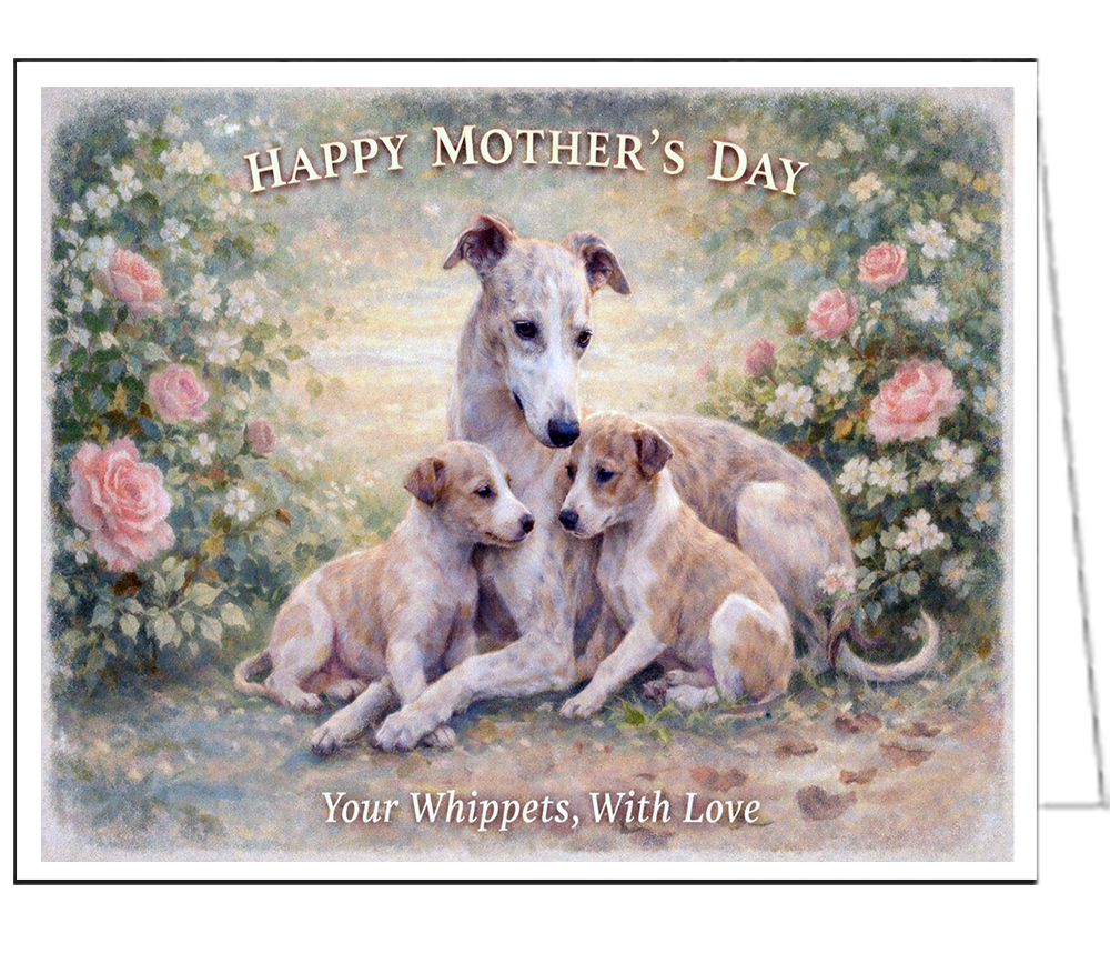Whippet Mother's Day Single Card with Envelope
