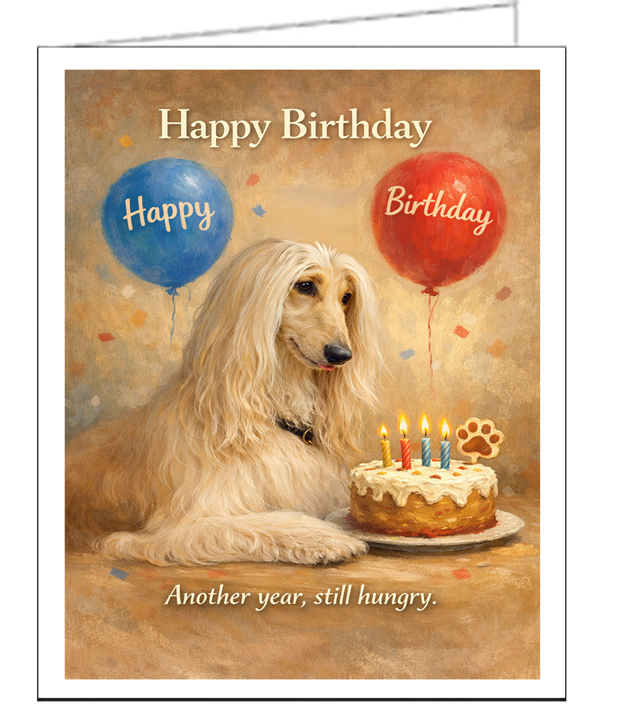 Afghan Hound Single Birthday Card with Envelope