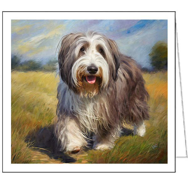 Bearded Collie Notecards - Set of Six  -