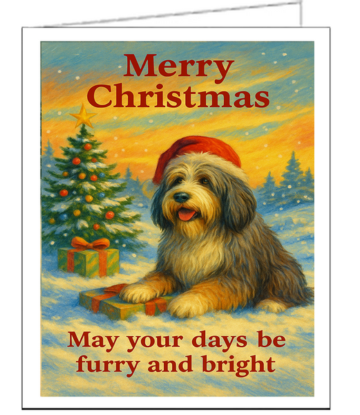Bearded Collie Christmas Cards - Set of 6