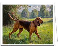 Bloodhound Fine Art Notecards - Set of Six  - 5 x 7