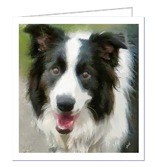 Border Collie Fine Art Notecards - Set of Six