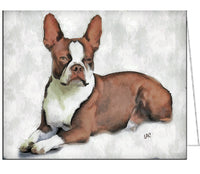 Boston Terrier - Brown & White - Fine Art Notecards - Set of 6