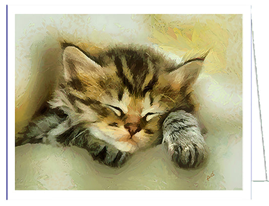 Sleepy Brucie The Cat - Fine Art Notecards - Set of Six - 5 x 7 Inches