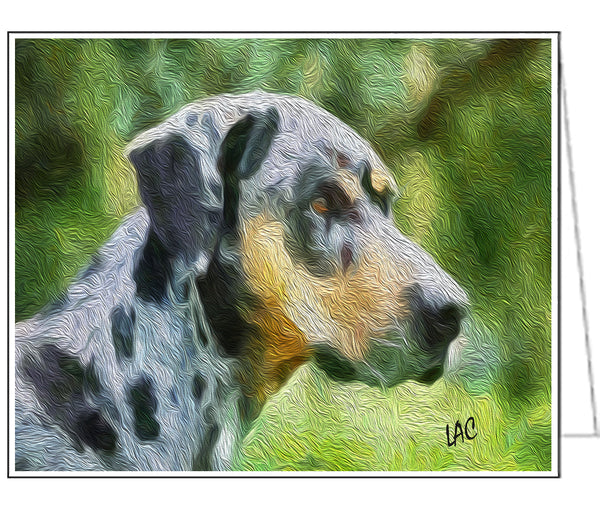 Catahoula Fine Art Notecards - Set of 6 - 5 x 7 Inches