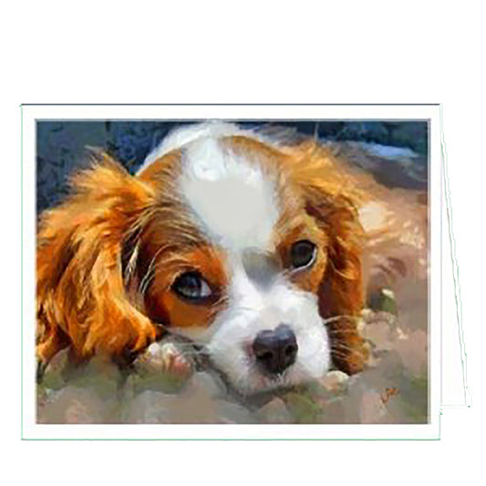 Cavalier King Charles Spaniel Puppy - Fine Art Notecards - 5 x 7, Set of 6