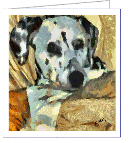 Dalmatian 'Night Time' Fine Art Notecards - Set of Six