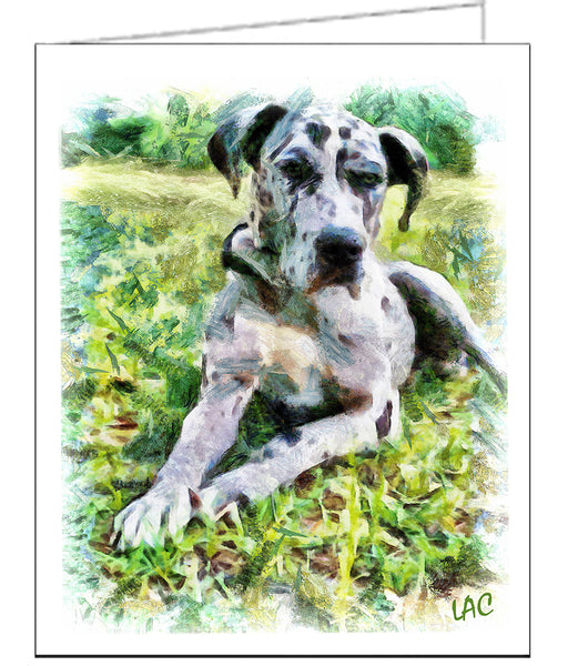 Great Danes 'Leonid' Fine Art Notecards - Set of 6 with Envelopes