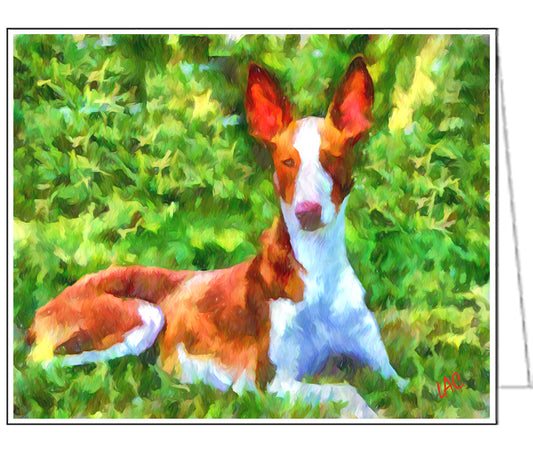 Ibizan Hound Fine Art Notecards Set