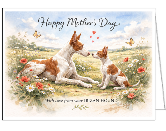 Ibizan Hound Individual Mother's Day Card