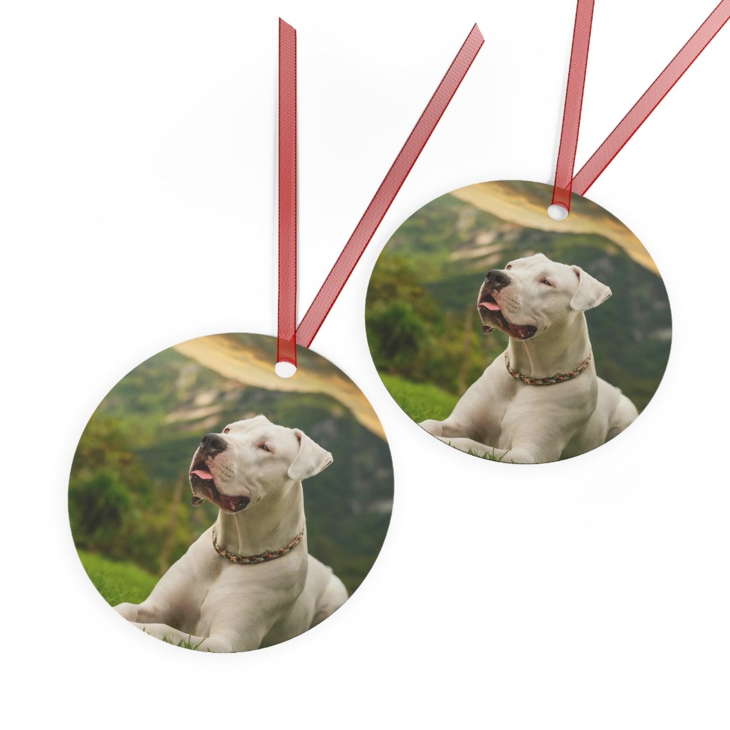 Dogo Argentino Metal Ornaments: Holiday Cheer