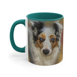 Australian Shepherd 'Zack' Accent Coffee Mug  11oz