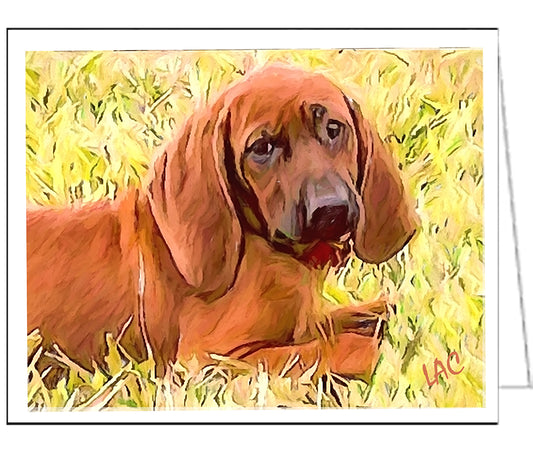 Redbone Coonhound Fine Art Notecards - Set of Six