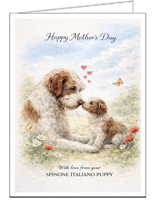 Spinone Italiano Single Mother's Day Card