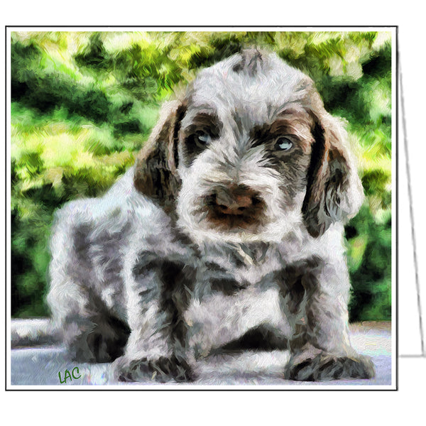 Spinone Italiano Fine Art 5.25 x 5.25 in. Notecards. -  Set of 6