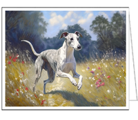 Whippet  --  Fine Art Notecards - 5 x 7 inches  - Set of Six