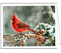 Winter Cardinal Notecards - Set of Six   - - 5 x 7 Inches