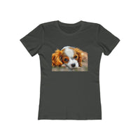 Cavalier King Charles Spaniel Puppy - Women's Slim Fit Ringspun Cotton (Colors: Solid Heavy Metal)