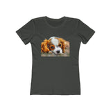 Cavalier King Charles Spaniel Puppy - Women's Slim Fit Ringspun Cotton (Colors: Solid Heavy Metal)