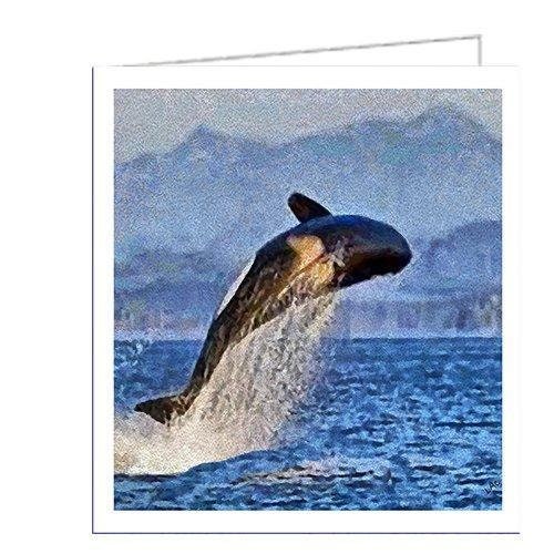 Leviathan - Breaching Whale - Set of 6 Notecards by Doggylips
