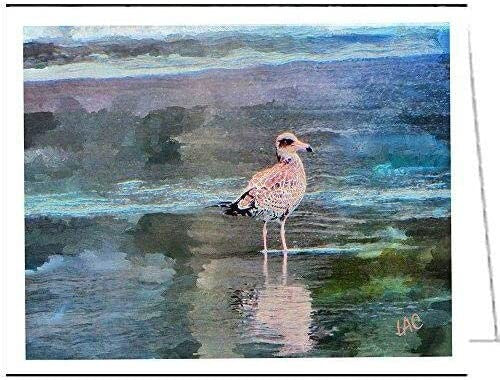 Bodega Gull #2 - Set of 6 Blank Notecards by Doggylips