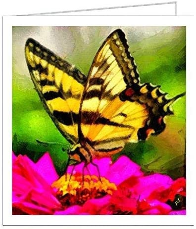 Swallowtail - Ann Butterfly #4- Set of 6 Blank Notecards by Doggylips
