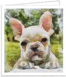 French Bulldog Bouvier - Set of 6 Blank Notecards by Doggylips