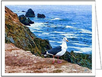 Bodega Gull- Set of 6 Blank Notecards by Doggylips