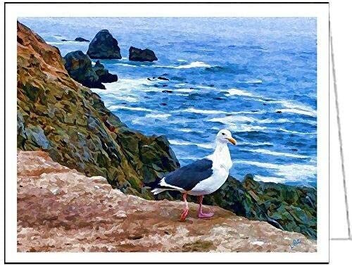 Bodega Gull- Set of 6 Blank Notecards by Doggylips