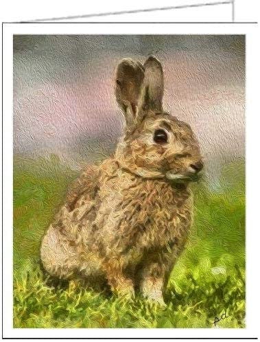 Clover The Rabbit- Set of 6 Blank Notecards by Doggylips