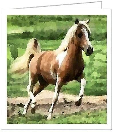 Miniature Horse - Uno - Set of 6 Notecards by Doggylips
