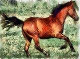 Quarter Horse Sam - Notecards- Set of 6 by Doggylips