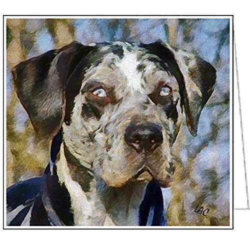 American Leopard Hound - Fine Art Notecards - Set of 6