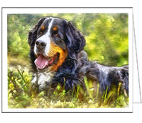 Bernese Mountain Dog &#39;Urich&#39; - Set of 6 Blank Notecards 5 x 7 inches each