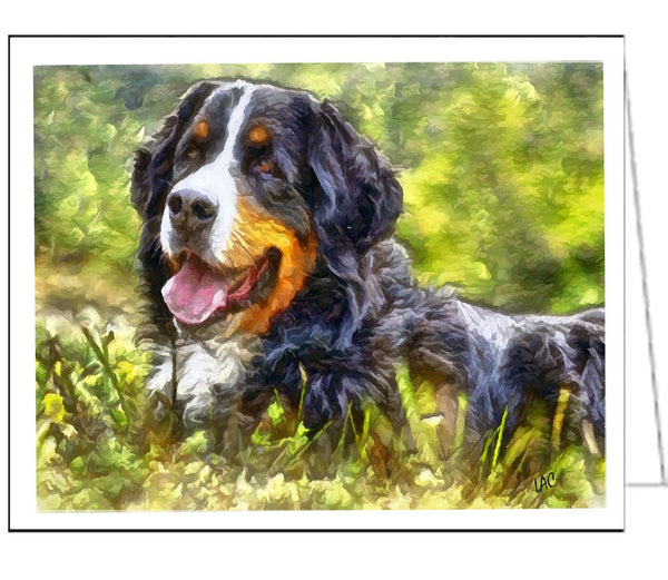 Bernese Mountain Dog &#39;Urich&#39; - Set of 6 Blank Notecards 5 x 7 inches each