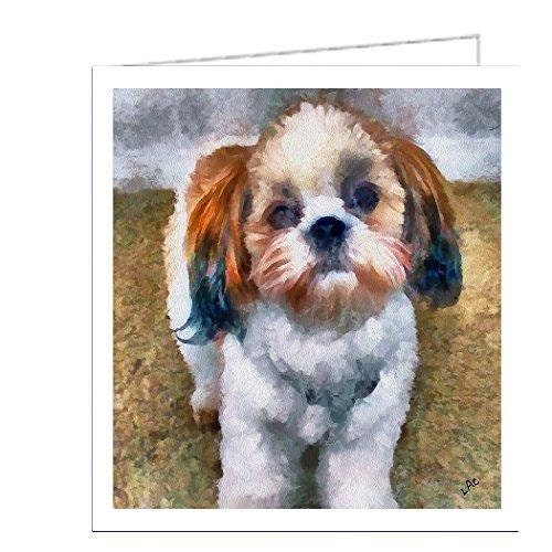 Shih-Tzu - Tu Tu - Set of 6 Blank Notecards by Doggylips