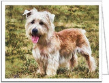Glen of Imaal Terrier - Set of 6 Blank Notecards by Doggylips