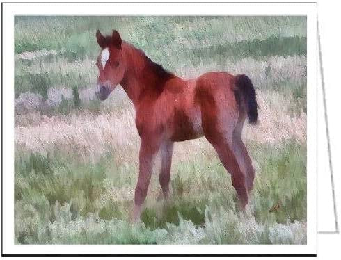 Contata - Arab Filly - Set of 6 Notecards by Doggylips