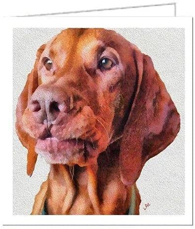Vizsla - Milo Maxwell CED - Set of 6 Notecards by Doggylips