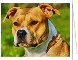 American Staffordshire Terrier (Pit Bull)- Hercules- Notecards- Set of 6