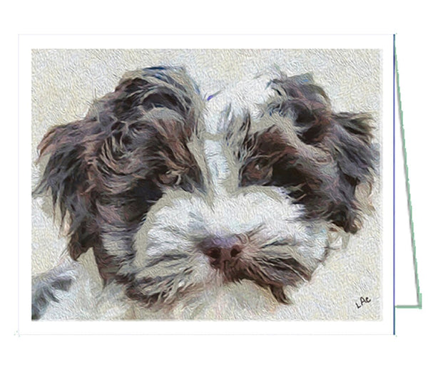 Havanese - Fideo - Set of 6 Notecards by Doggylips