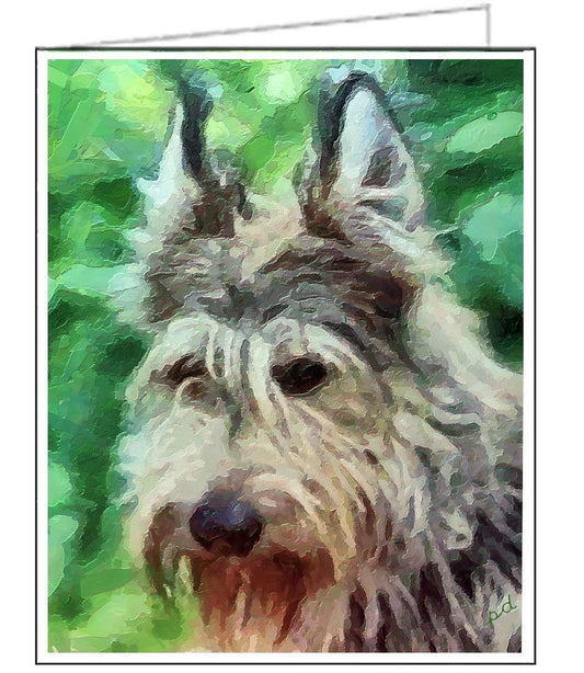 Berger PIcard &#39;Jean Luc&#39; - Set of 6 Blank Notecards 5 x 7 inches each