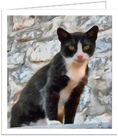 Cats of Greece - &#39; Hydra&#39;- Set of 6 Blank Notecards and Envelopes by Doggylips